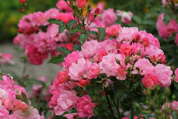 Les services d'aide au déménagement : pour une expérience sereine